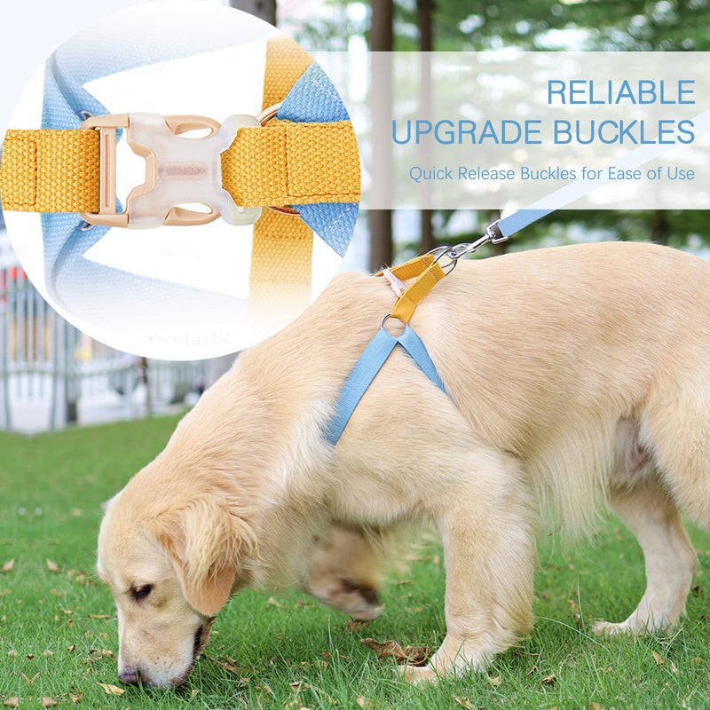 ZIRVYIR Dog Halter Harness Medium Brown-Blue - BeesActive Australia