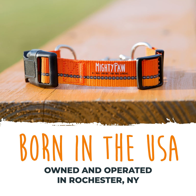 Mighty Paw Martingale Dog Collar 2.0 | Trainer Approved Limited Slip Collar with Stainless Steel Chain & Heavy Duty Buckle. Modified Cinch Collar for Gentle & Effective Pet Training Medium Orange - BeesActive Australia