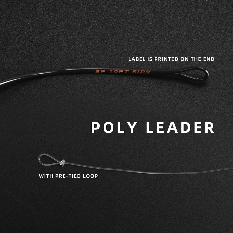 SF Fly Fishing Polyleader Monofilament Core Leader Line Fly Line for 7' Trout and 10' Salmon Poly Leader 7FT/10FT Float Hover Intermediate 3/5/7IPS Grey-S5-10FT Salmon 10FT-S5 - BeesActive Australia