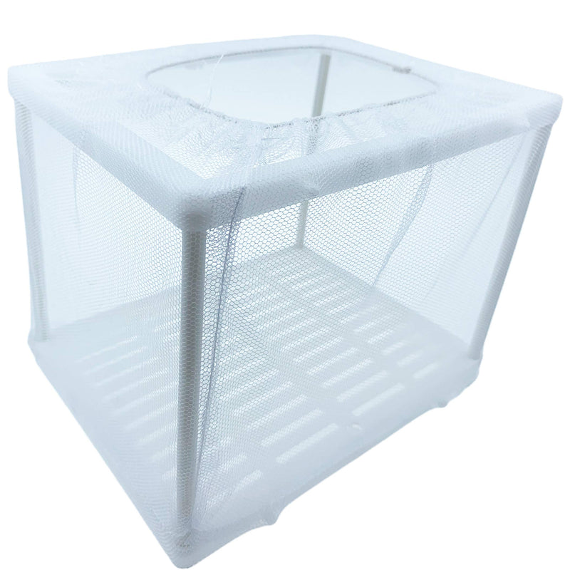 Aquarium Fish Breeder Box for Isolate Fry Small - BeesActive Australia