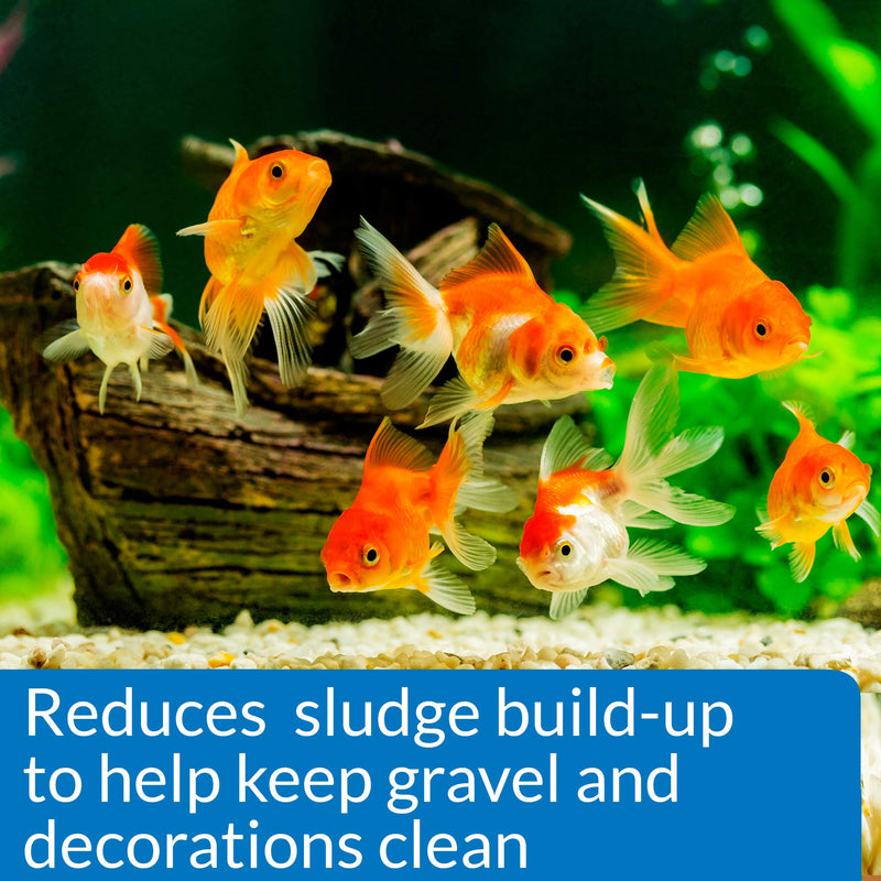 API GOLDFISH PROTECT Aquarium Water Conditioner 4-Ounce Bottle - BeesActive Australia