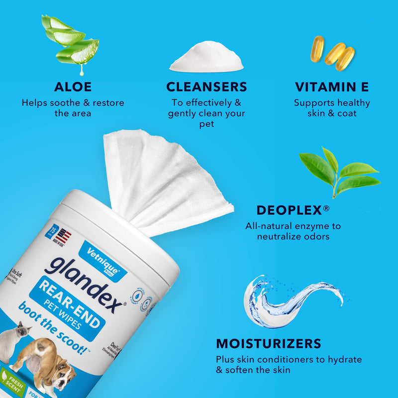 Glandex for Dogs 60ct Anal Gland Support Soft Chews and Glandex Pet Wipes 75ct Bundle - by Vetnique Labs - BeesActive Australia