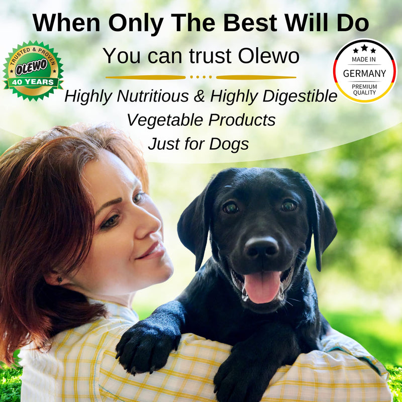 Olewo Red Beet Granular – Natural Immune Support - Anti Itch, Skin & Coat, Seasonal Allergies – Digestive Prebiotic Fiber 22 oz - BeesActive Australia