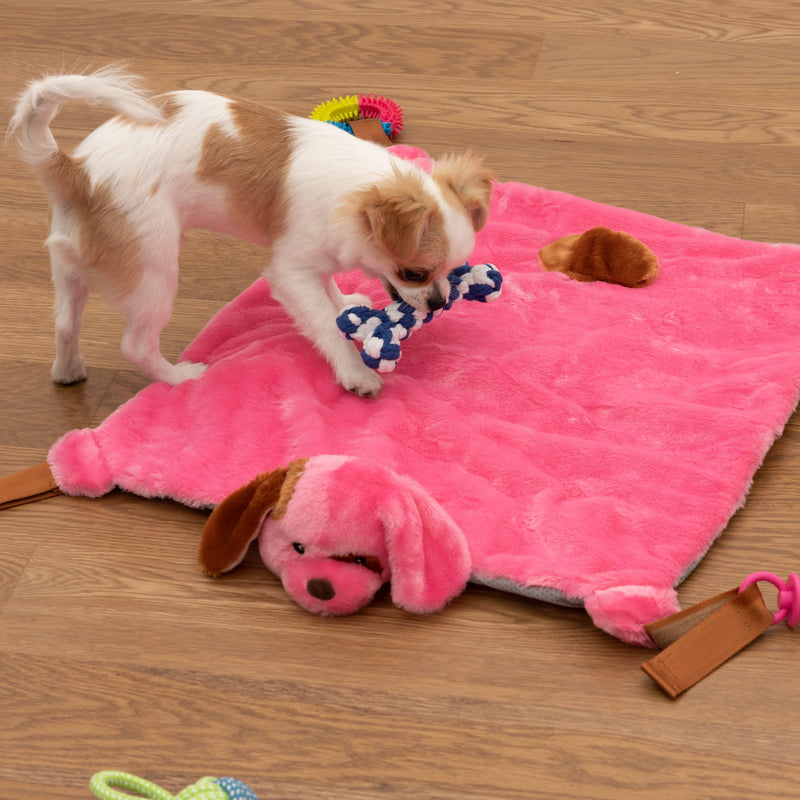 EZDOM Puppy Play Mat with Detachable and Interchangeable Toys, 23”x20” (58x51cm) Pink New - BeesActive Australia