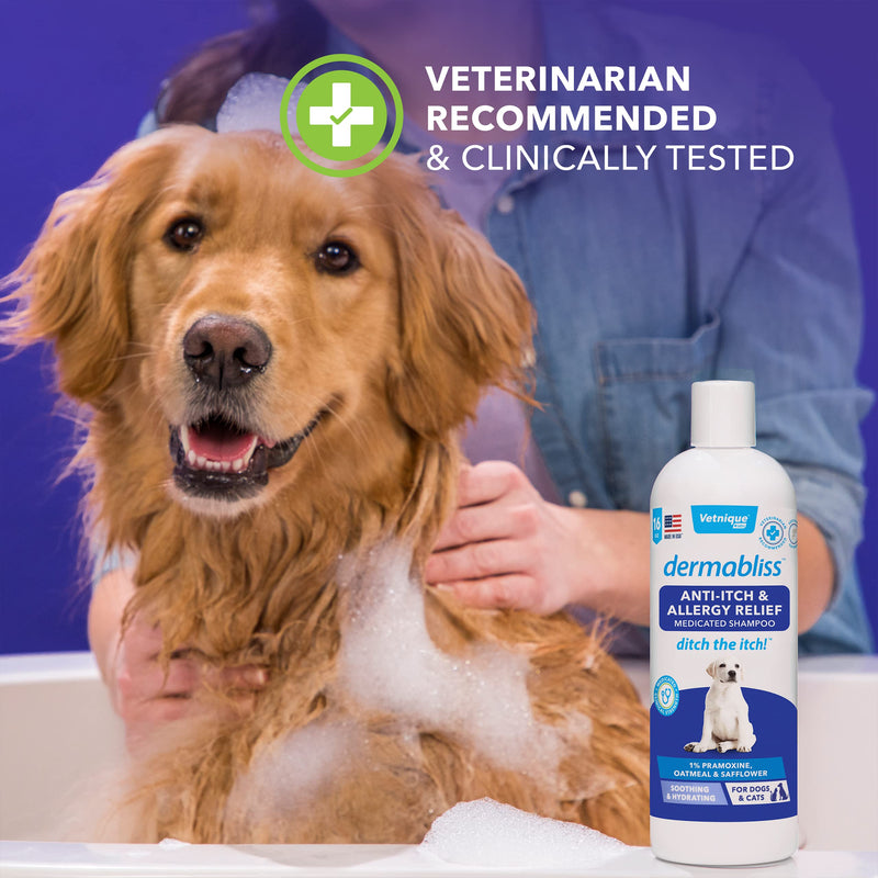 VETNIQUE LABS Dermabliss Dog Anti-Itch & Allergy Relief, Medicated Shampoos, Hot Spot, Benzoyl Peroxide Help Relieve Irritated Skin - Ditch The Itch Itch Relief 16oz Shampoo - BeesActive Australia