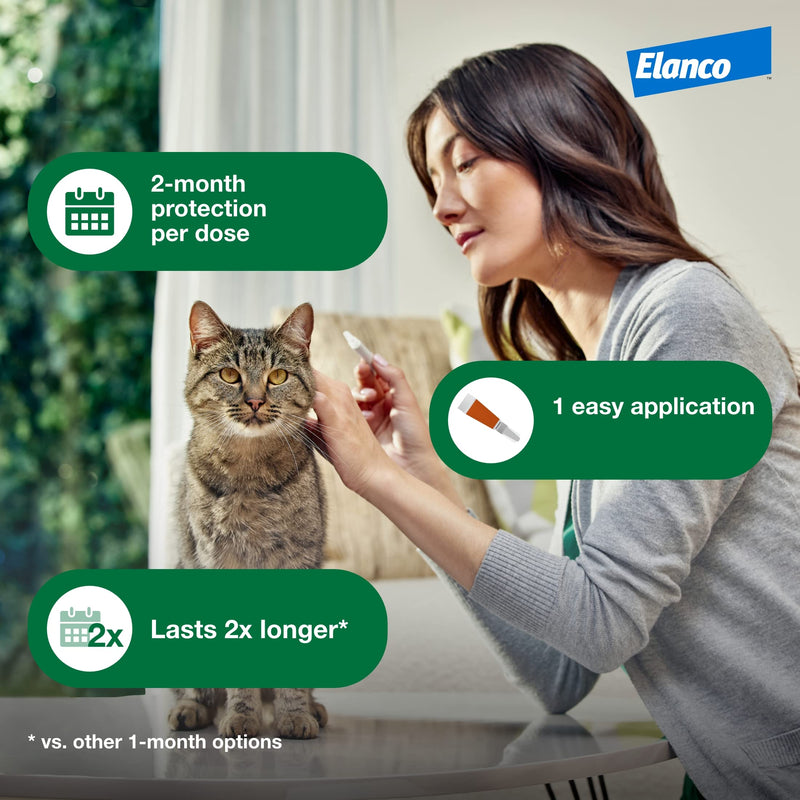 Advantage XD Long-Lasting Flea Prevention & Treatment for Large Cats (Over 9 lbs) 1 Pack - BeesActive Australia