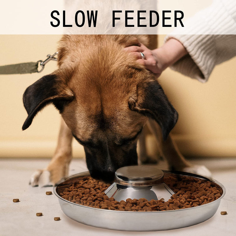Thankspaw Stainless Steel Puppy Bowls, Set of 2 Puppy Feeder, Dog Food and Water Bowl, Food Feeding Weaning Bowl for Small/Medium/Large Dogs, Pets M-5¼ cups/42oz - BeesActive Australia