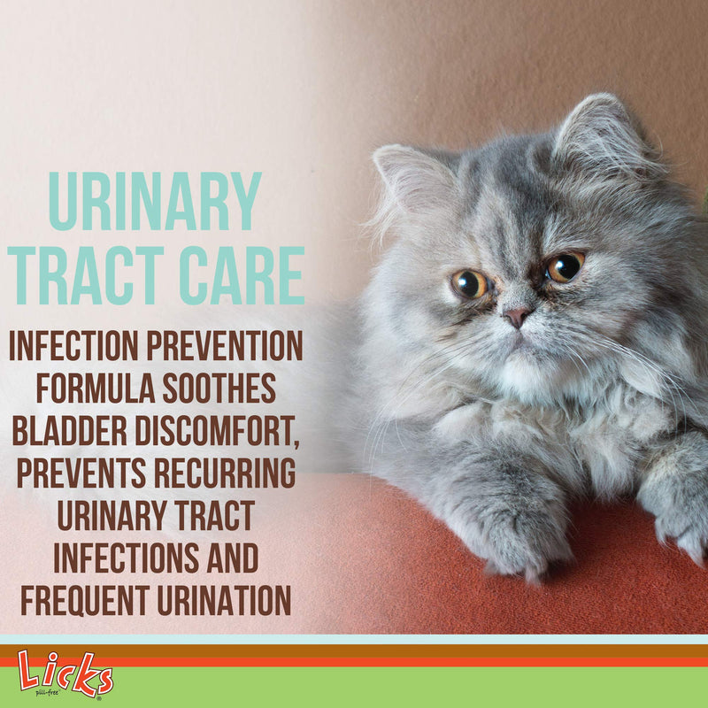 Licks Pill-Free Cat Urinary Tract Care - Cat UTI Care and Prevention Gel Packets - Urinary Tract Infection Supplement for Cats - Omega 3 Fish Oil and L-Lysine Supplement - Gel Packets - 10 Use - BeesActive Australia
