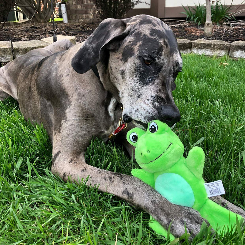 Snuggle Puppy Tender-Tuffs - Comfort Plush - Tough Dog Toy - Proprietary TearBlok Technology - Soft Green Frog with Squeaker - BeesActive Australia