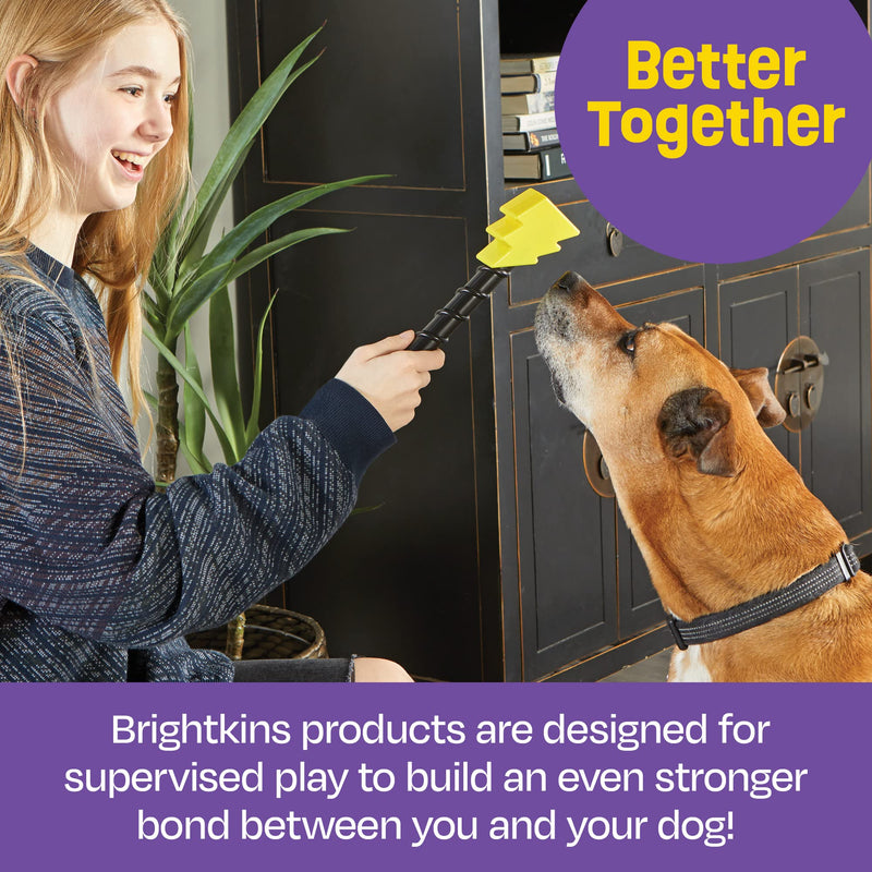 Brightkins Magic Wand Treat Dispenser: Bolt - 1 Piece Dog Treat Holder, Treat Dispenser for Dogs, Multi - BeesActive Australia