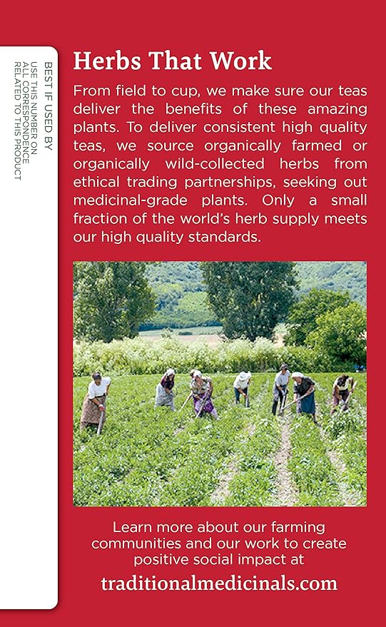 Traditional Medicinals Organic Echinacea Elder 16 Tea Bags - BeesActive Australia