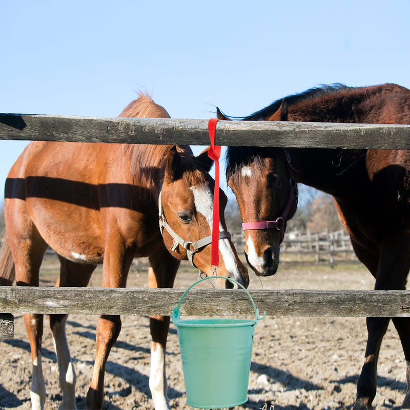 5 Pack Bucket Strap, Adjustable Water Bucket Strap Horse Supplies for Hay Nets, Bucket Hangers for Horses, Red Nylon Water Buckets Strap, Horse Stall, Outdoor Feeders, 22 Inch - BeesActive Australia