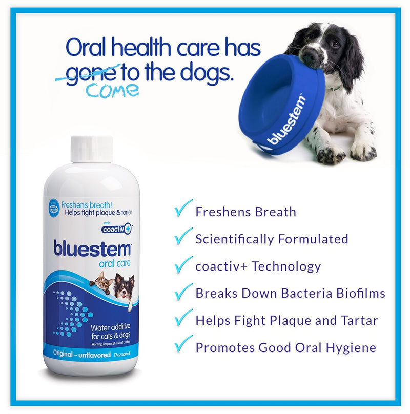 Pet Water Additive Oral Care: for Dogs & Cats Bad Breath, Dental Rinse Freshener Treats Plaque & Teeth Tartar. Dog & Cat Mouth Clean Health Treatment for Pets Drinking Bowl Original - BeesActive Australia