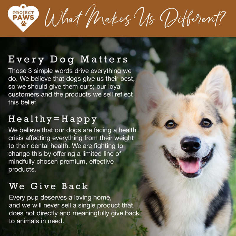 Bone Broth for Dogs with Powdered Elk Antler and Bone - Collagen and Mineral Rich Food Topper for Dogs - Whole Food Superfood Powder Multivitamin for Dogs - 4 oz - BeesActive Australia