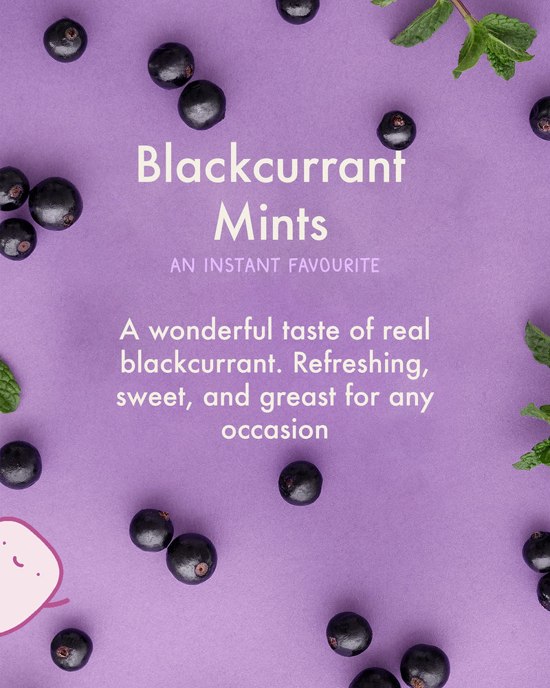 True Mints Mixed Flavours (12-pack) - Sugar Free Mints - Xylitol Mints - Fruit Pastilles - Sugar Free & Plantbased Travel Sweets with Natural Flavours Mixed Flavours Mints 12 Count (Pack of 1) - BeesActive Australia