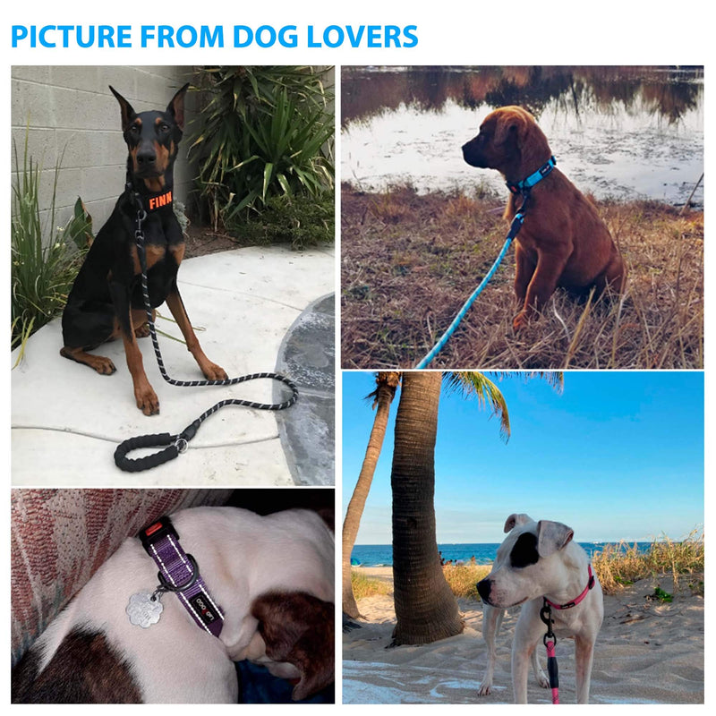 Ladoogo Heavy Duty Dog Leash - Comfortable Padded Handle, 5 ft Long - Dog Leashes for Small Medium Large Dogs Small (Pack of 1) Blue Leash+Collar - BeesActive Australia