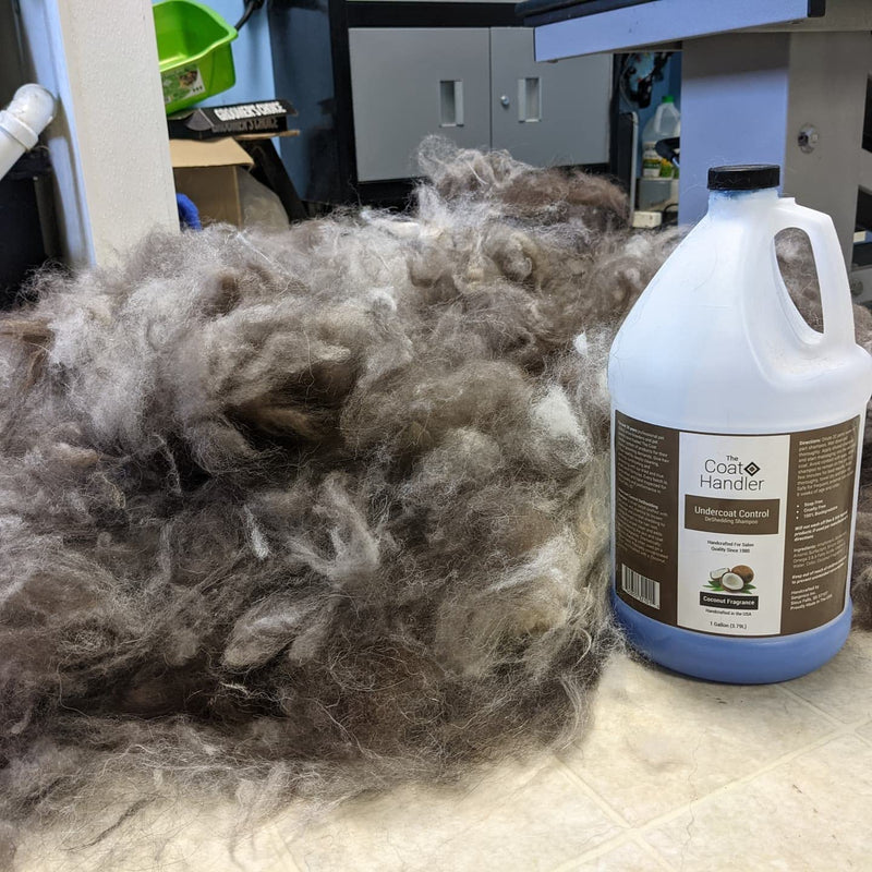The Coat Handler Undercoat Control deShedding Dog Shampoo, 16 oz - Combats and Reduces Shedding, Undercoat Removal, Omega 3 & 6 Rich, Vitamin E Strengthens The Hair Follicle, Natural Ingredients - BeesActive Australia