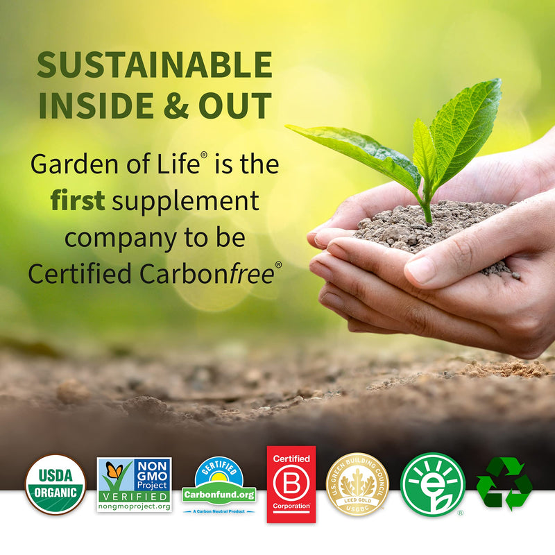 Garden of Life Sport Organic Plant-Based Energy + Focus Vegan Clean Pre Workout Powder, Sugar & Gluten Free BlackBerry Cherry with 85mg Caffeine, Natural NO Booster, B12, 40 Servings, 8.14 Oz Blackberry Cherry (Sugar-Free) 40 Servings (Pack of 1) - BeesActive Australia