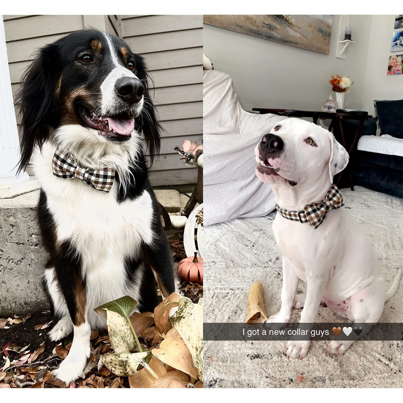 Unique style paws Spring Flory Print Dog Collar, Puppy Collar with Bowtie, Adjustable Dog Collar Pet Gift for Small Medium Large Dogs XL A-Brown Grid - BeesActive Australia