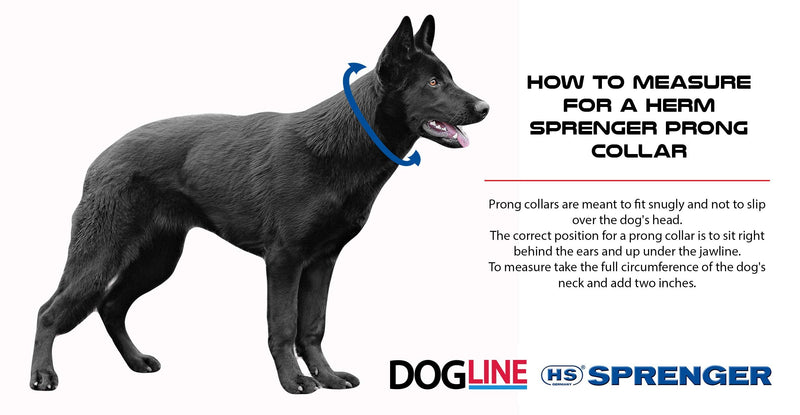 Herm Sprenger Prong Dog Training Collar Ultra-Plus Chrome Plated Steel Pet Pinch Collar No-Pull Collar for Dogs Anti Pull Training Collar Made in Germany 4mm x 25in Large - BeesActive Australia