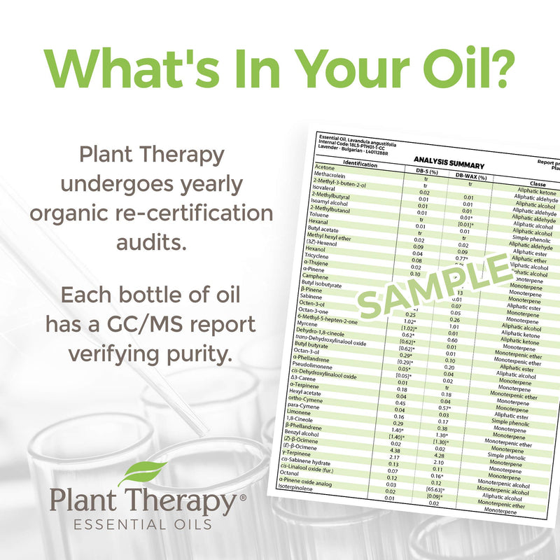 Plant Therapy Ylang Ylang Complete Organic Essential Oil 100% Pure, USDA Certified Organic, Undiluted, Natural Aromatherapy, Therapeutic Grade 30 mL (1 oz) 1 Fl Oz (Pack of 1) - BeesActive Australia