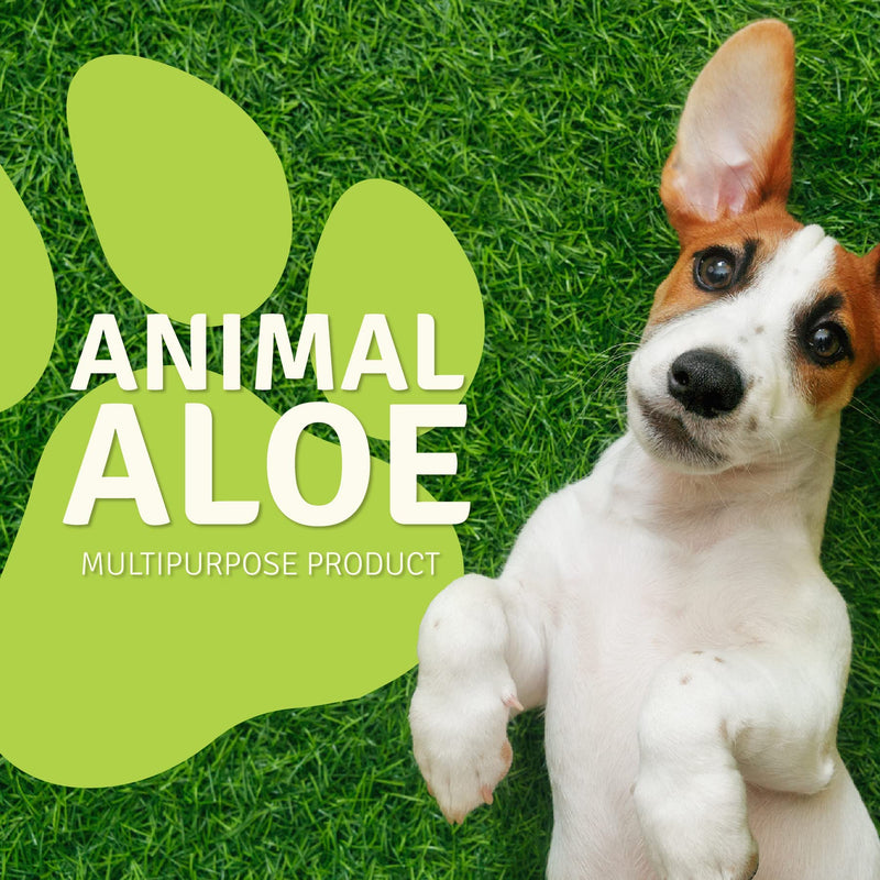 Aloe Life - Animal Aloe, Pet-Safe Digestive Aid & Skin Treatment Gel, Helps to Soothe Hotspots, Flea Bites & Irritation, Supports Your Pet’s Digestive Health & Overall Wellness, Fragrance-Free (4 oz) - BeesActive Australia