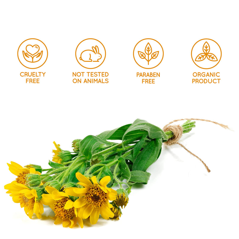 Strong Arnica Gel 90%. Arnica Forte Gel High Strength Muscle & Joint Massage Gel & Skin Moisurizer - 200 ml - BeesActive Australia