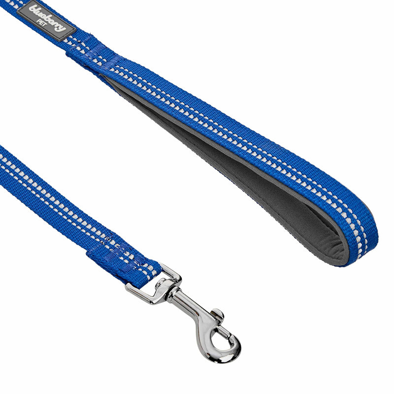 Blueberry Pet 8 Colors 3M Reflective Dog Leashes in Pastel Color with Neoprene Padded Handle 5' * 3/4" (Pack of 1) Navy - BeesActive Australia