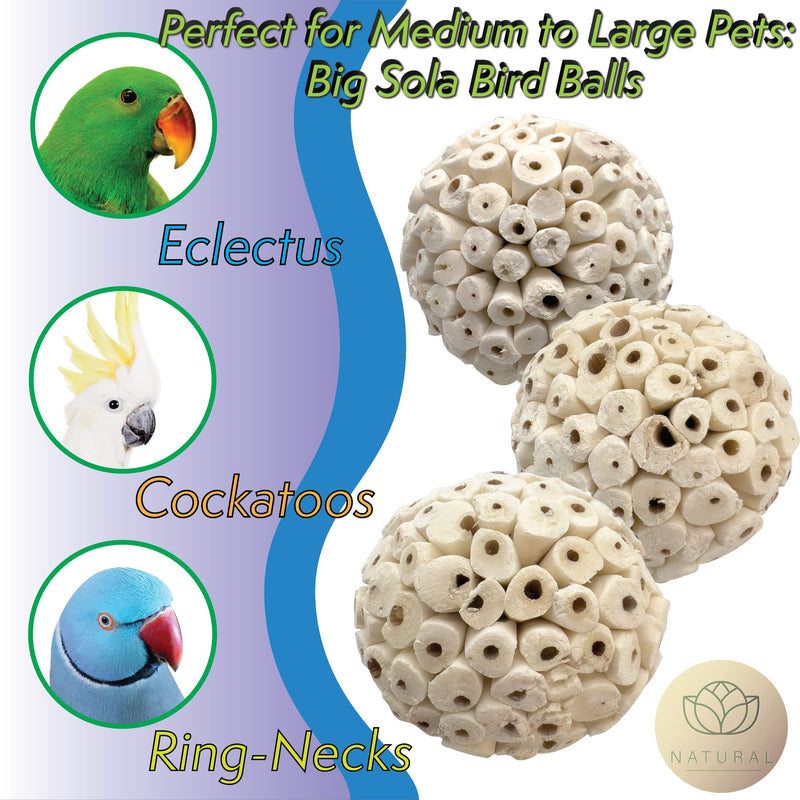 Mandarin Bird Toys Assorted Sola Bird Toys by M&M - Air Dried Natural Shredding Foot Toys, Lots of Part Sizes Big Sola Balls Pack (3) - BeesActive Australia