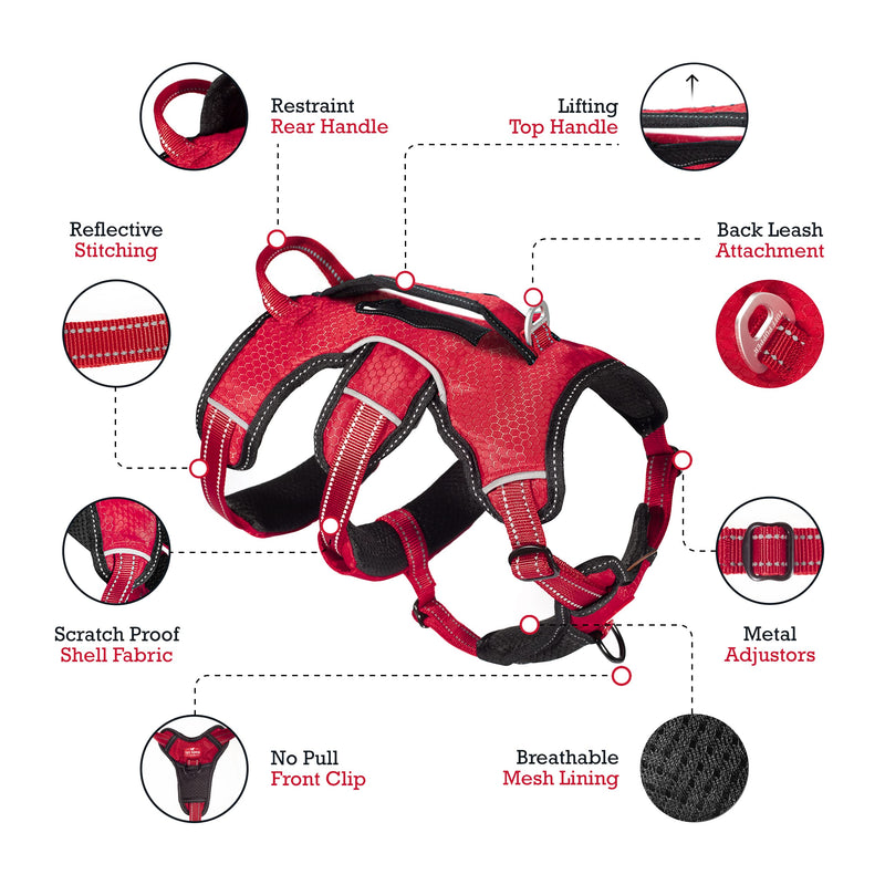 Tuff Pupper Updated for 2022 - Tracker No Escape Dog Harness | Dual Escape Proof Leash Attachments | 5 Point Adjustable Fit Harness for Dogs | Padded Dog Harness for Comfort | Handle Dog Lift Harness Medium (Neck: 18-23" , Chest: 22-31") March Red - BeesActive Australia