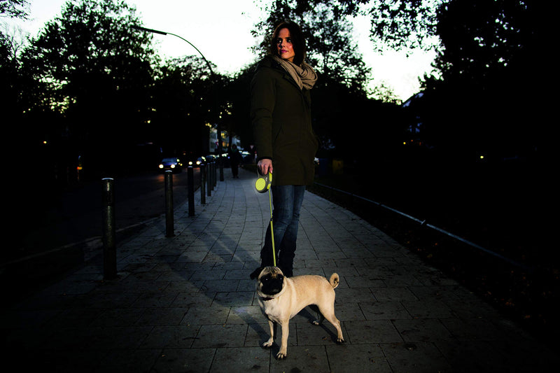 FLEXI New Classic Leash Multi youth large / 11-13 - BeesActive Australia