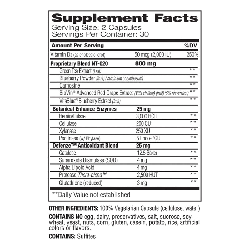 ENZYMEDICA - Stem XCell (60 Capsules) | Therapeutic Enzymes Supplements | Enzyme and Antioxidant Blend for Stem Cell Health and Regeneration, Nutrient Supplements, Vegetarian, Dairy Free, Gluten Free - BeesActive Australia