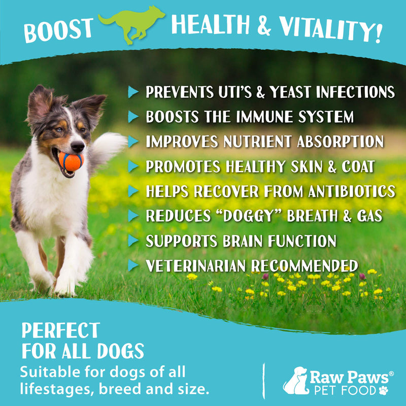 Raw Paws Natural Dog Supplement Soft Chew Treats, Made in The USA - 3 Unique Formulas for Overall Health - Omega 3 Skin & Coat, Hip & Joint and Prebiotics & Protiotics for Dogs Prebiotics & Probiotics 10 oz - BeesActive Australia