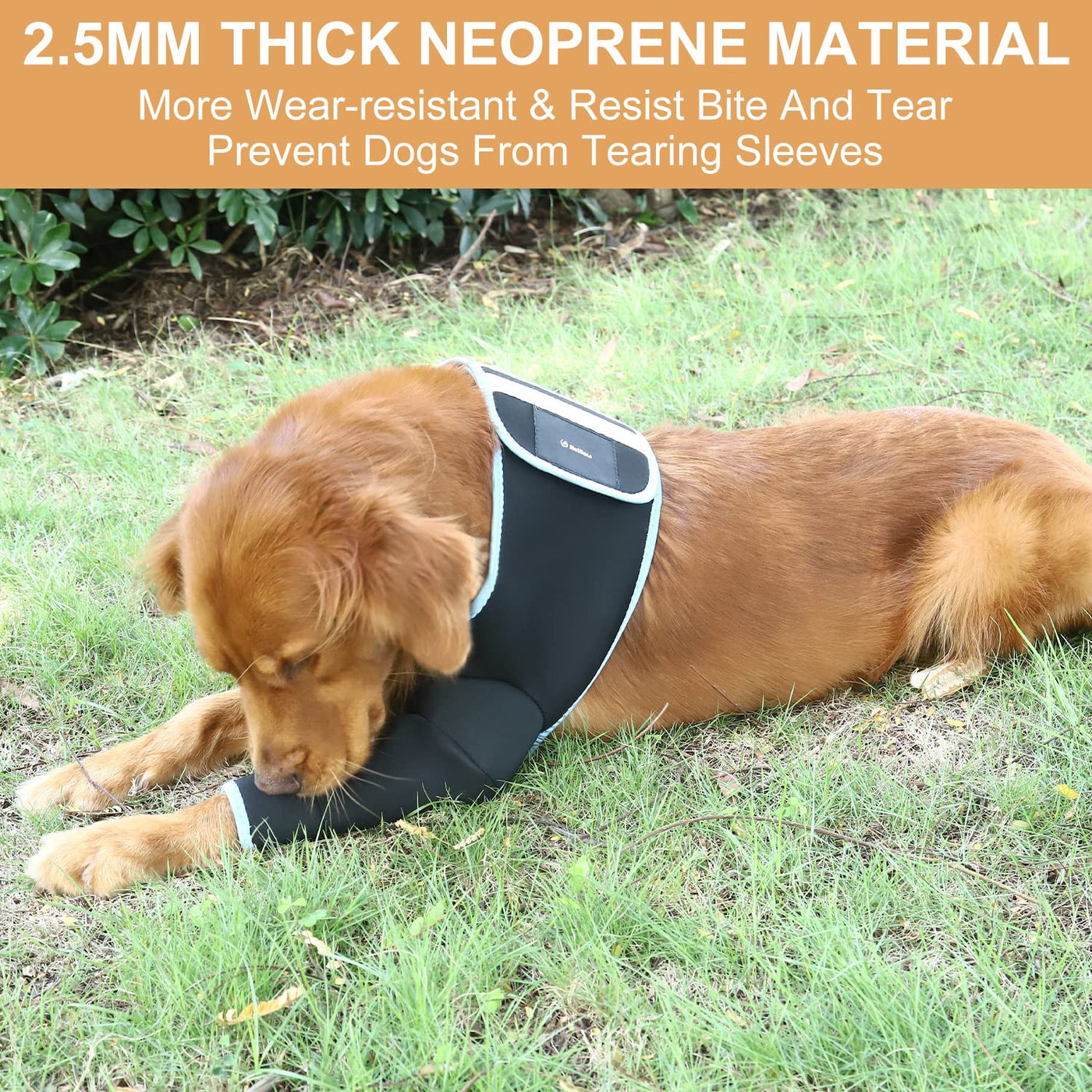 Noillow Dog Recovery Suit, Dog Sleeve for Licking, Dog Cone Collar  Alternative, Dog Leg Sleeve - Abrasion Resistant Dog Recovery Sleeve, Dog  Wound Prevent Licking and Dog from Tearing Sleeve Small |