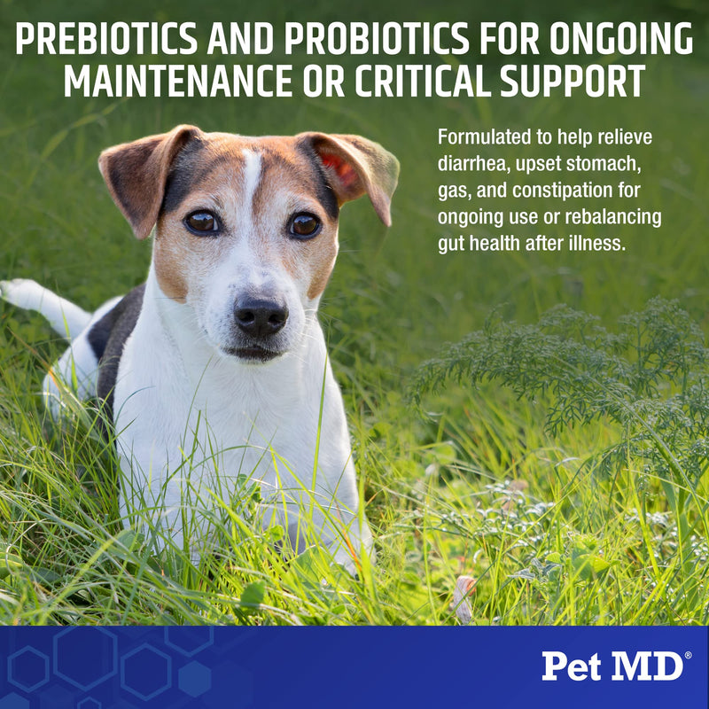 Pet MD Biotic Probiotics for Dogs & Cats - Prebiotic, Fiber, & Probiotic Powder - Gas, Constipation Relief, & Anti Diarrhea - Balance Digestive Flora & Restore Gut Health for Dogs & Cats - 2.12 oz - BeesActive Australia
