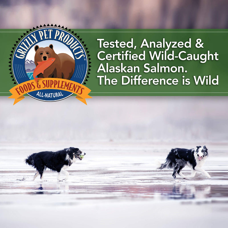 Grizzly All-Natural Wild Caught Alaskan Salmon Oil Dog Food Supplement | Balanced Blend of Omega-3 Fatty Acids | Medical Grade Pump for Exact, No-Spill Dose 16 ounces Grizzly Salmon Oil for Dogs - BeesActive Australia