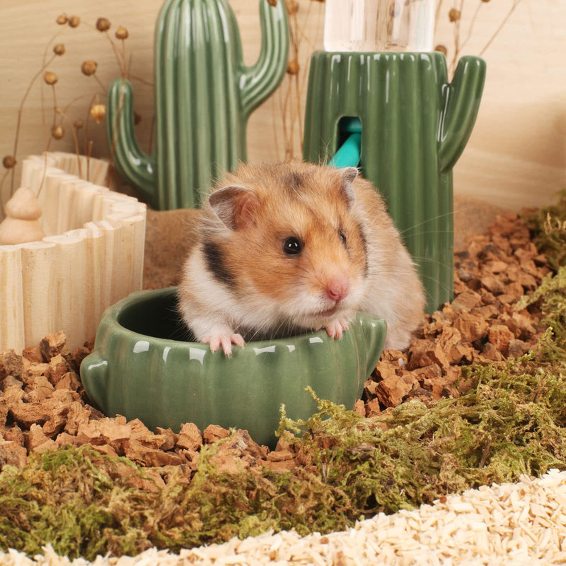 BUCATSTATE Cactus Leakproof Water Bottle Ceramic Universal Water Bottle Holder Stand for Hamster Girbils and Other Small Animals Cactus Food Bowl - BeesActive Australia