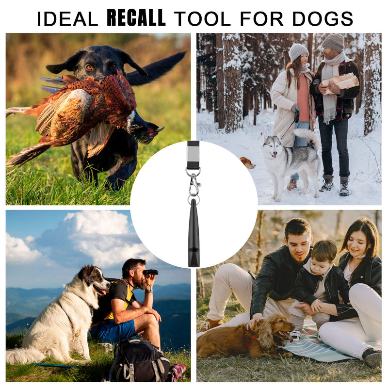 TDL Dog Whistle with Lanyard - Used for Recall & Dog Training - Long Distance - Good Frequency for Most Breeds - Loud Pitch - Consistent - Food Grade Plastic - BeesActive Australia