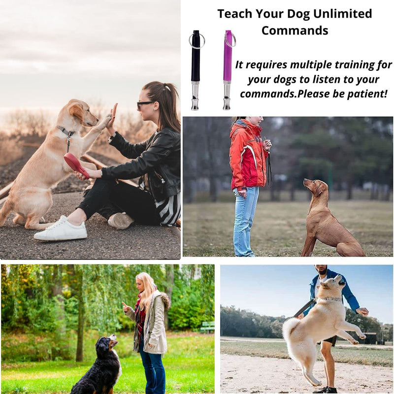 2 Pack Dog Whistle And 2 Clicker With Free Black Lanyards Ultrasonic Devices For Bark Control Training Tools Silent Puppy Whistles To Stop Barking Perfect Clickers Wrist Strap For Behavioral Training. - BeesActive Australia