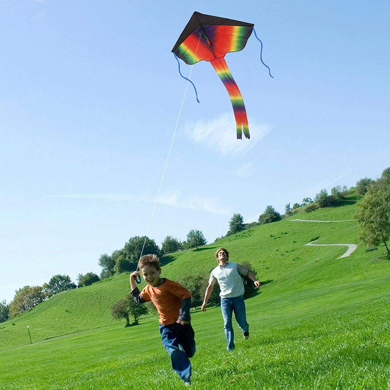SINGARE Large Rainbow Delta and Butterfly Kites 2 Pack Easy Flyer Kites with Long Colorful Tail for Kids Adults Outdoor Game, Activities, Beach Trip, Great Gift to Kids Childhood Precious Memories - BeesActive Australia
