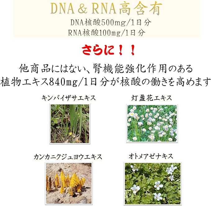 Nucleic acid EX DNA RNA 180 grains - BeesActive Australia