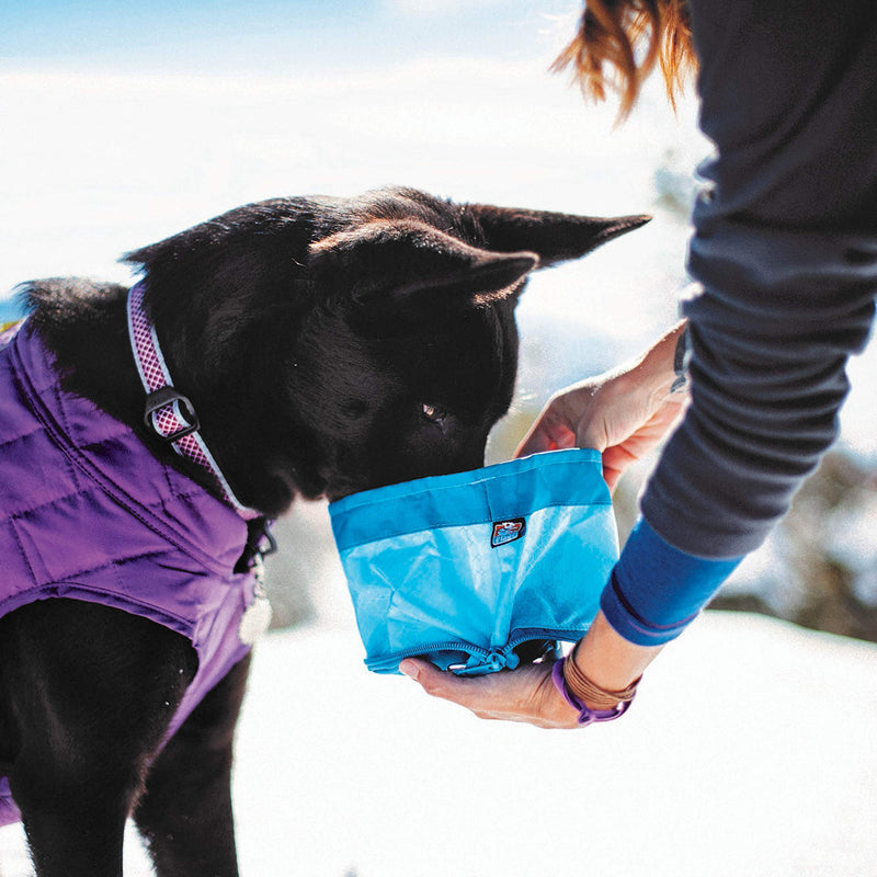 Kurgo Zippy Bowl, Collapsible Travel Dog Bowl, Pet Food & Hiking Water Bowl, Machine Washable Bowl for Dogs, Travel Accessories for Pets, BPA Free, Carabiner Blue - BeesActive Australia