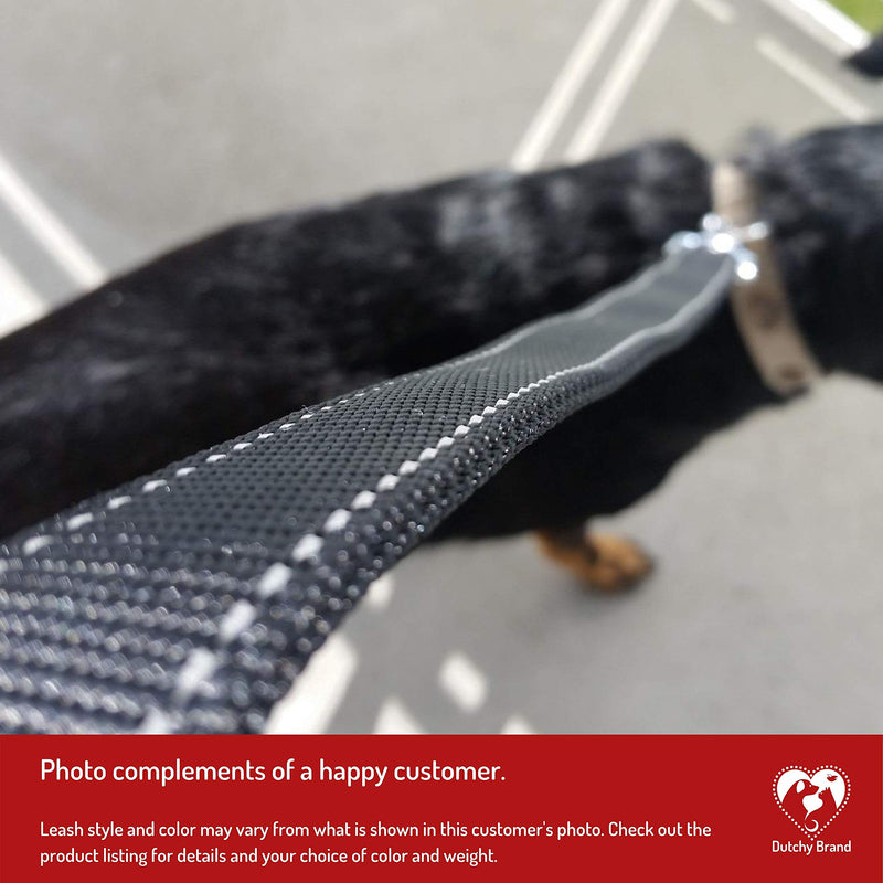 Dog Leash for Medium, Large and Small Dogs - 6 Foot Dog Leashes for Training and Daily Walks - Durable Sizes in Lightweight and Heavy Duty for Small and Large Breeds 2-Layer Blue - BeesActive Australia
