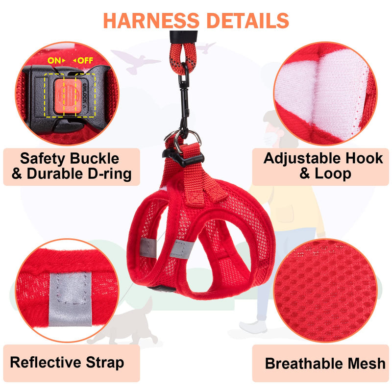 Small Dog Harness and Leash Set, 2 Pack No Pull Dog Harness with Handle, Breathable Soft Mesh Puppy Harness with Reflective Strap, Dog Vest Harness for Small Dogs, Cats, and Puppy XS: 11.5"-13.5" Grey & Red - BeesActive Australia