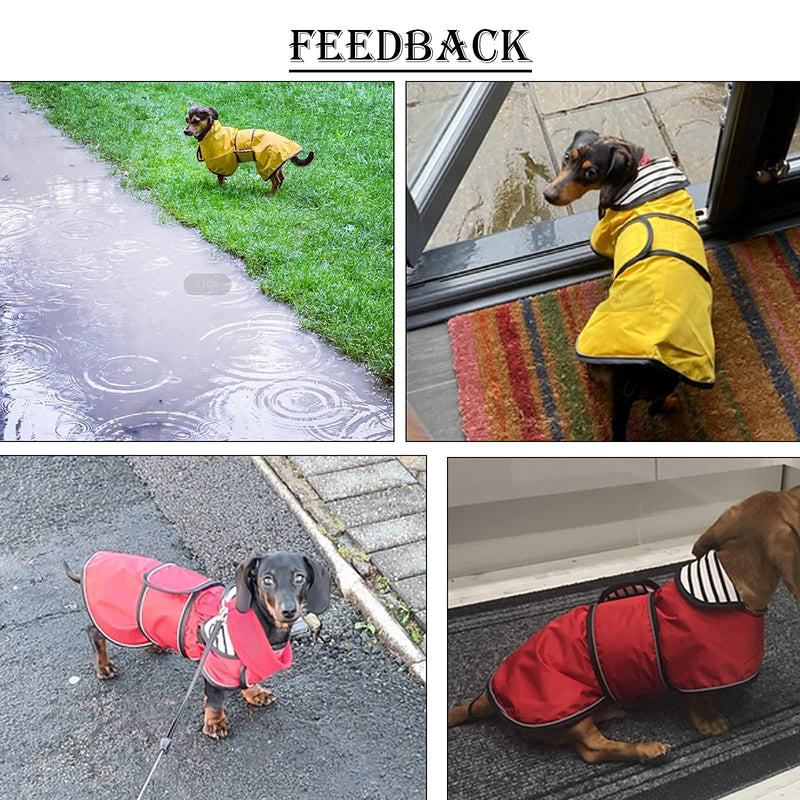 Dachshund Raincoat Waterproof, Perfect for Dachshund Sausage Weiner Dog Rain Gear with Reflective Trim and Adjustable Bands Dog Clothing in Autumn and Winter Medium(Back: 17"-18"in) Red - BeesActive Australia