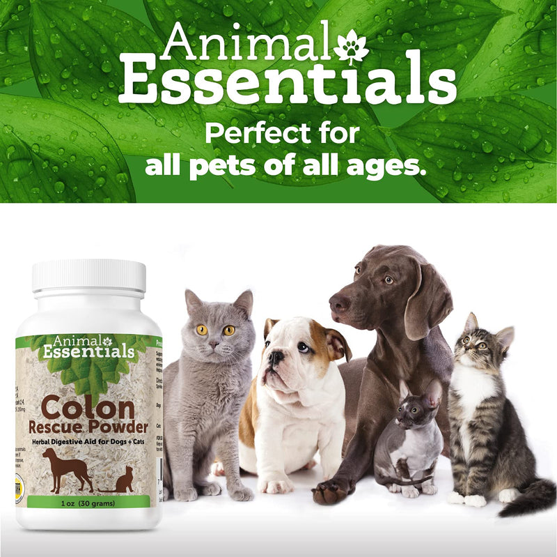 Animal Essentials Colon Rescue Powder Herbal Digestive Aid for Dogs & Cats, 1 oz - Made in USA GI Support, Phytomucil Blend - BeesActive Australia