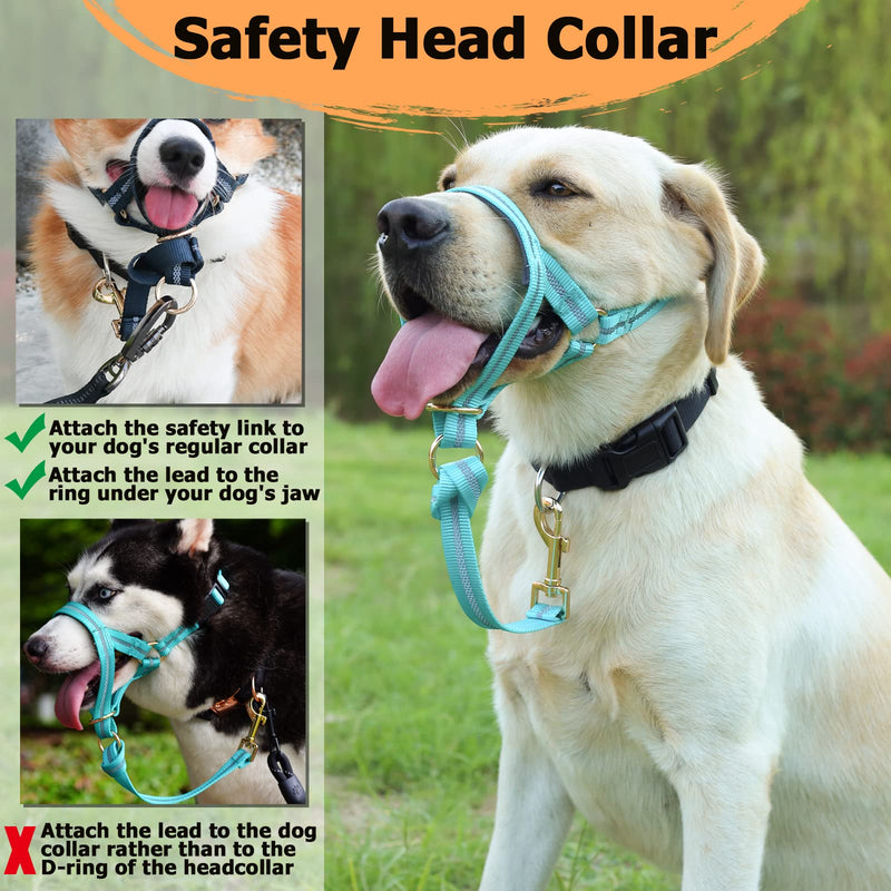 Dog Head Collar, No Pull Dog Halter with Soft Padding, Durable, Reflective Training Tool for Medium Large Dogs, Labrador, Stops Heavy Pulling and Easy Control on Walks, Includes Free Training Guide Turquoise - BeesActive Australia