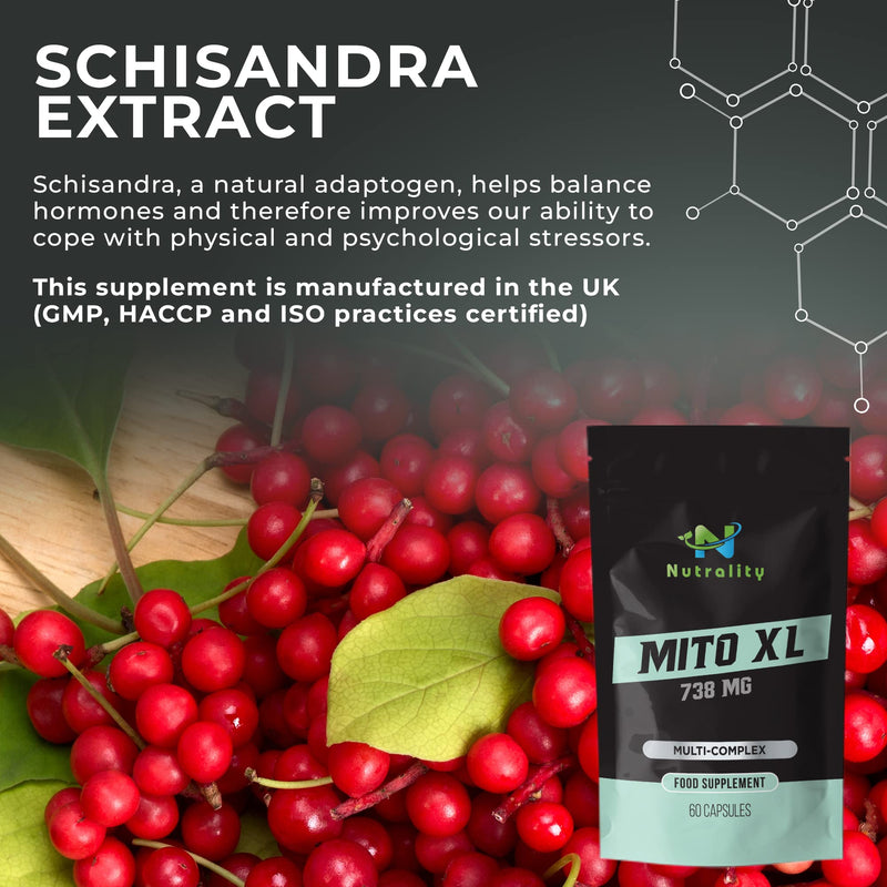 Nutrality Mito XL Supplement, 738mg - Mitochondrial Energy Optimizer, PQQ, Healthy Mitochondria, Cellular Energy, Cognitive Support, Brain Health. 1 Month Supply, 60 Vegan-Friendly Capsules - BeesActive Australia