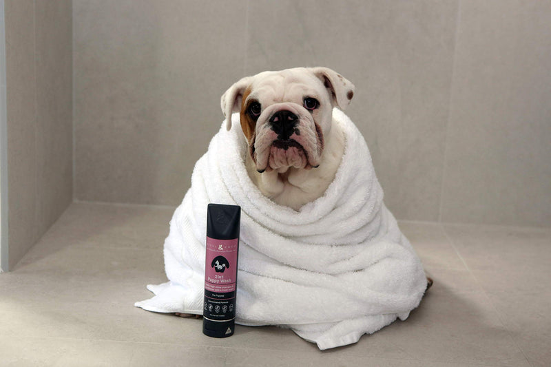 Rufus & Coco New Natural Dog and Puppy Shampoo and Conditioner | Sulfate & Paraben Free | pH Balanced, Hypoallergenic Fresh Fragrance | Safe for Cats and Dogs Puppies - BeesActive Australia