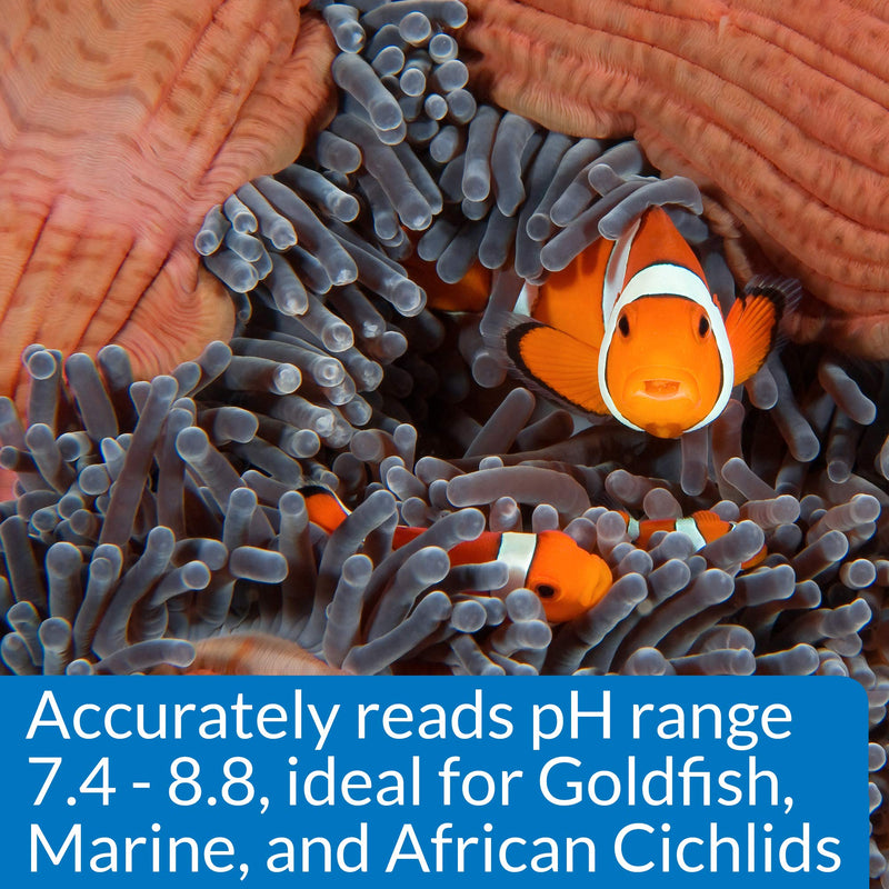 API HIGH RANGE PH TEST KIT 160-Test Freshwater and Saltwater Aquarium Water Test Kit, 150-watt halogen bulb - BeesActive Australia